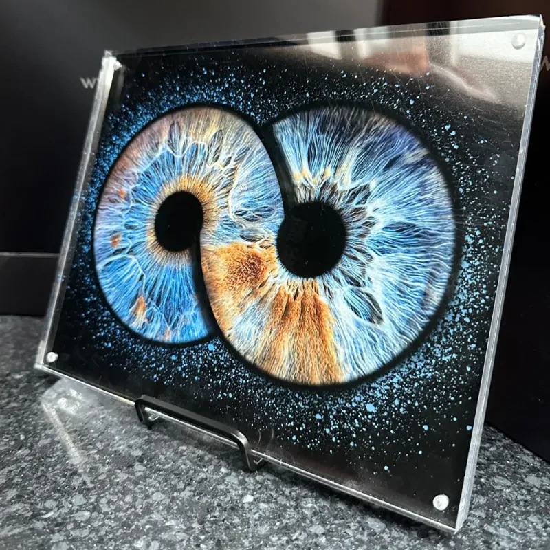 Framed photographic iris print in a clear acrylic frame