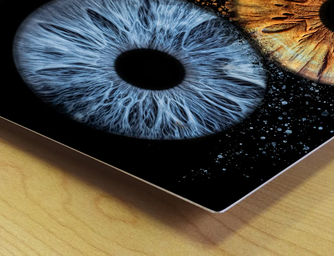 Vivid iris photography metal print wall art