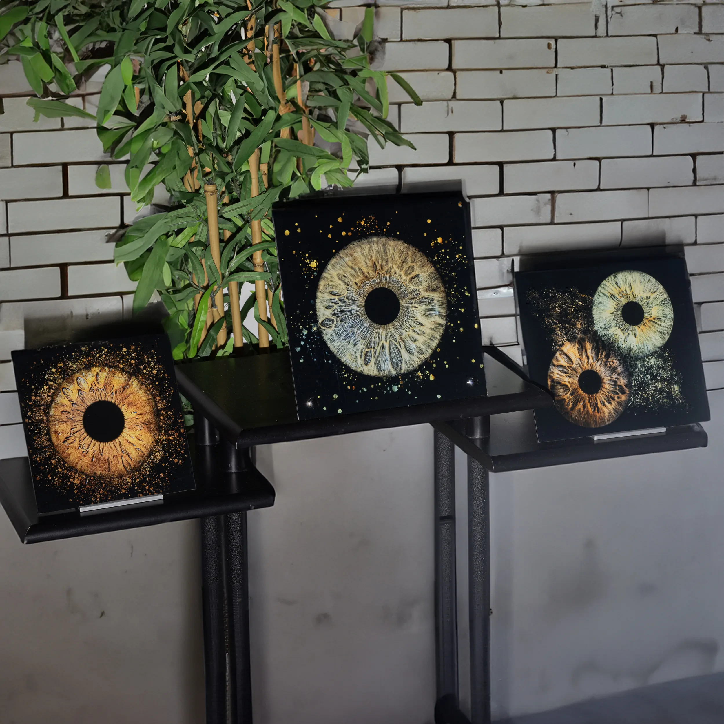 Freestanding acrylic iris photography stand on a desk