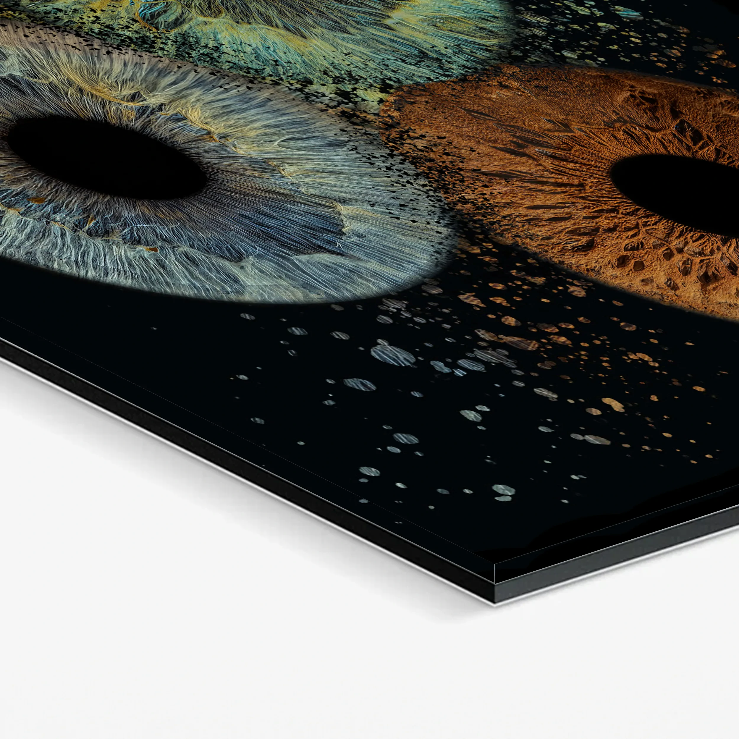 Freestanding acrylic iris photography stand on a desk