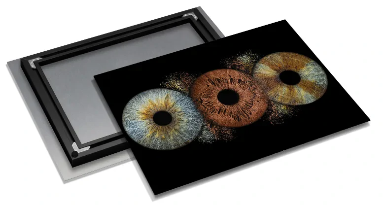 Epic iris print on Fujiflex paper mounted on aluminum composite