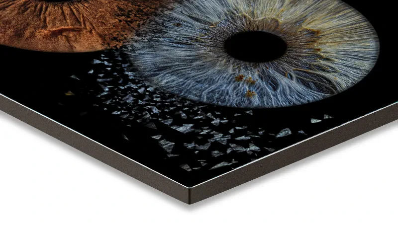 Epic iris print on Fujiflex paper mounted on aluminum composite