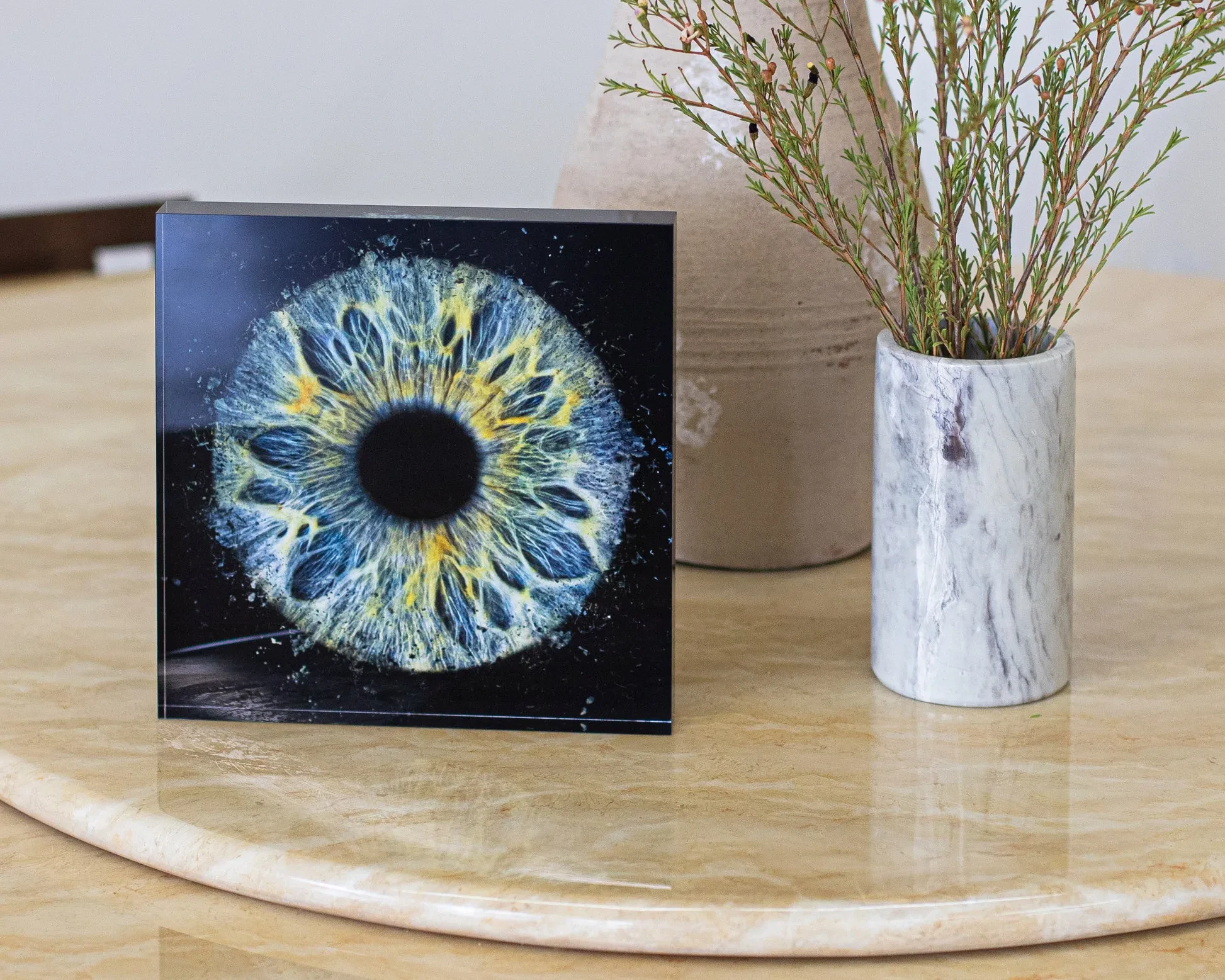Iris photography artwork