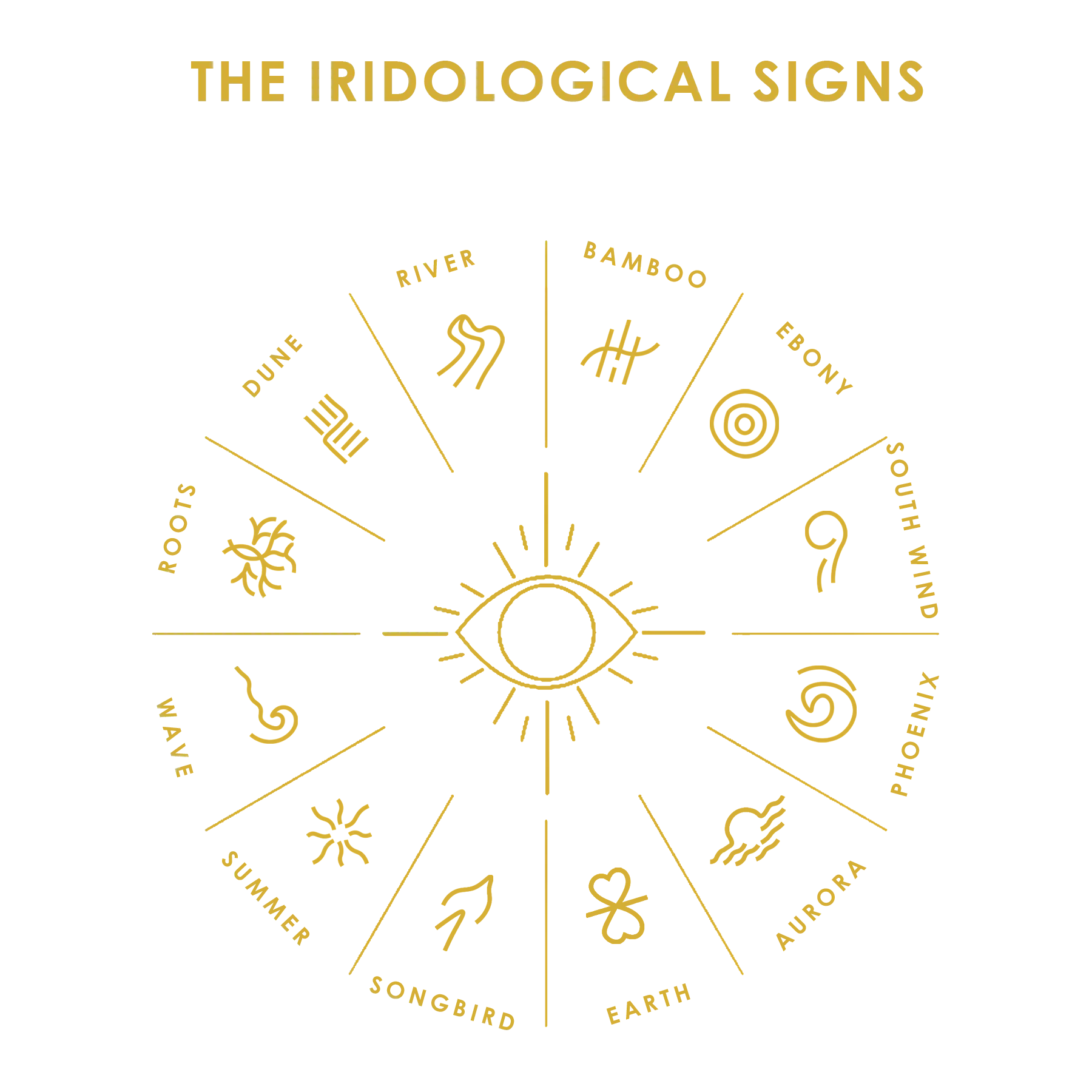 Behavioral iridology — iris analysis illustration